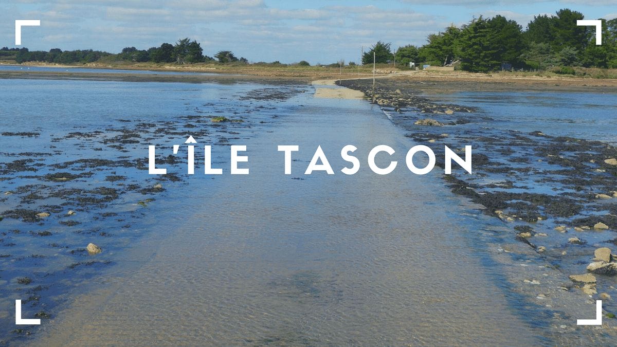 Découvrir l’île Tascon à Saint-Armel