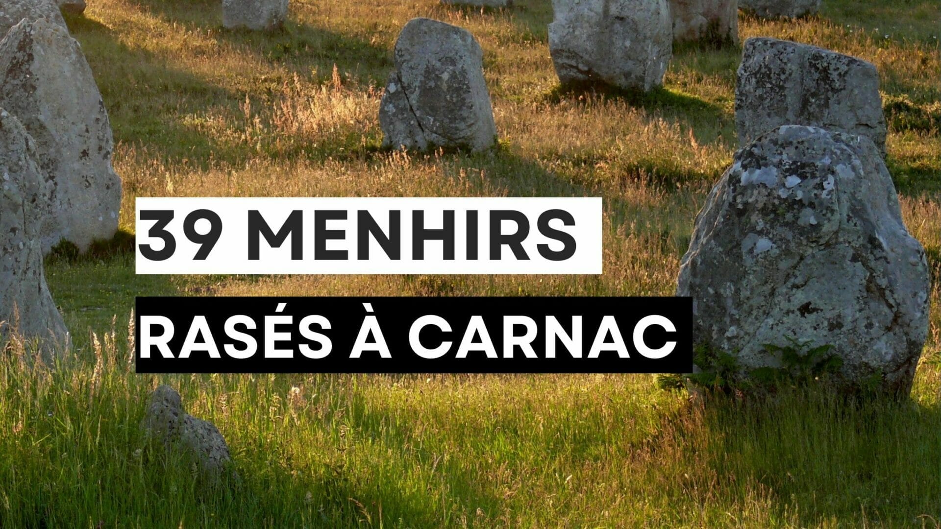 39 menhirs détruits à Carnac pour construire un magasin de bricolage