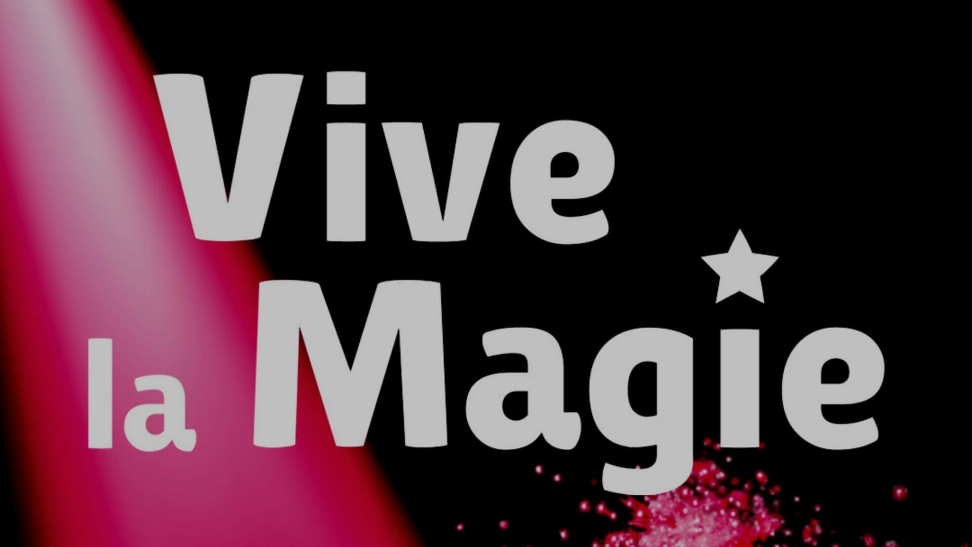 Cinq bonnes raisons d'aller au festival Vive la magie à Vannes
